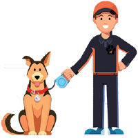 Local Private Dog Walk Service